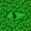 Monkey Currency Logo