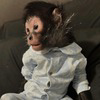 Monkey Taken By Police Logo