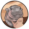 MOO DENG Logo
