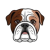 Moosecoin Logo