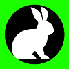 Morpheus Logo