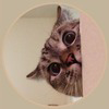 NALA Logo