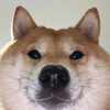 NEAR INU Logo