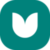 Nest Treasury Vault (LP) Logo