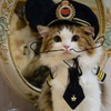 Neuracat Logo