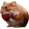 nomnom Logo