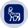 Novo Nordisk (Ondo Tokenized Stock) Logo