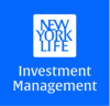 NYLIM US High Yield Bond Fund Logo