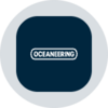 Oceaneering International (Ondo Tokenized) Logo