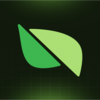 Pear Protocol Logo