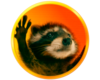 Pedro the Raccoon Logo