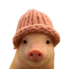 pig wif hat Logo