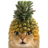 Pineapple Cat Logo