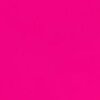 PINK COIN Logo