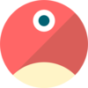 pNetwork Logo