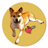 Pochita on Ethereum Logo