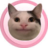 Polite Cat Logo