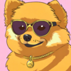 Pomcoin Logo