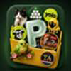 Pons Index Logo