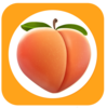 PornRocket Logo