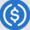 Prime USDC Logo