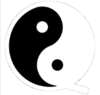QiSwap Logo
