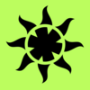 RAA Vision Logo