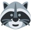 Raccoon Coin Logo