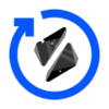 RAI yVault Logo