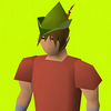 Robinhood Hat Strategy Logo
