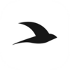 Rune Logo