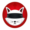 Ryoshis Vision Logo