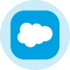 Salesforce (Ondo Tokenized Stock) Logo