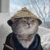 Samurai Cat Logo