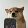 SelfieDogCoin Logo