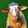 Sheep Wif Hat Logo