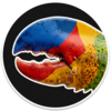 ShelleyBay Logo