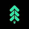 Sherwood Protocol Logo