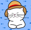 Shiro Neko CTO Logo