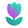 Tulip Protocol Logo