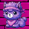 Solpaca Logo
