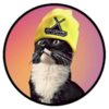 SolXenCat Logo