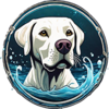 Splash Dog Logo