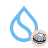 sSUI Logo