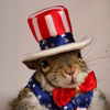 Sugar Bush the Squirrel Logo