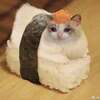 Sushi Cat Logo