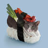 sushicat Logo