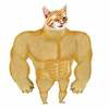 Swole Cat Logo