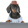 Synthesizer Dog Logo