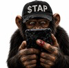 Tapcoin Logo